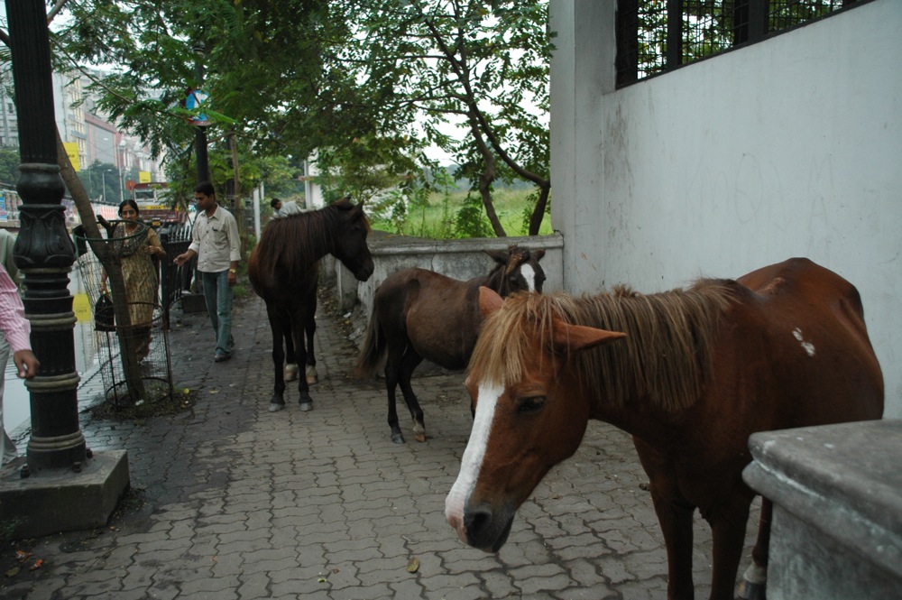 kolkata16