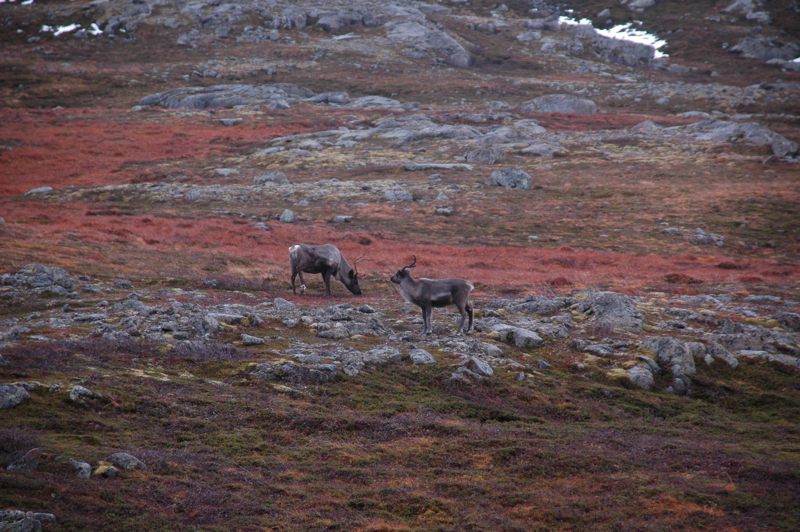 tromso_day014